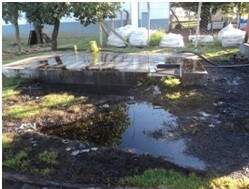 Derramamento de óleo atingiu solo e vegetação (Foto: PMA)