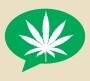 Para onde vai o dinheiro da maconha? Dificuldades impensadas na legalização