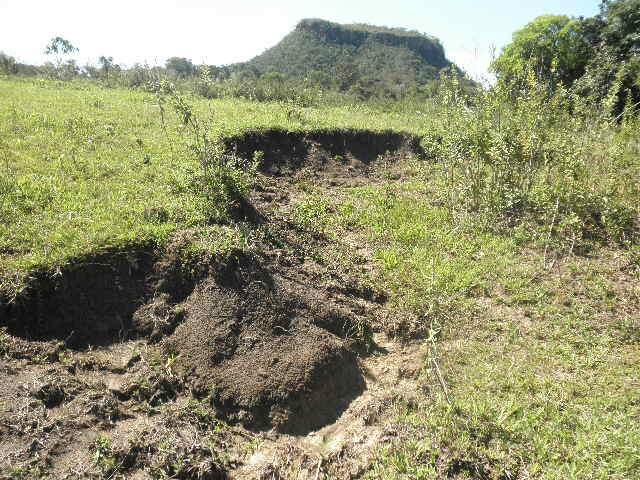 Área apresenta erosão e degradação de córrego. Fazendeiro tem até 30 dias para criar projeto de recuperação (Foto: Divulgação)