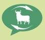 Exportações de carnes brasileiras para a Rússia crescem 70%