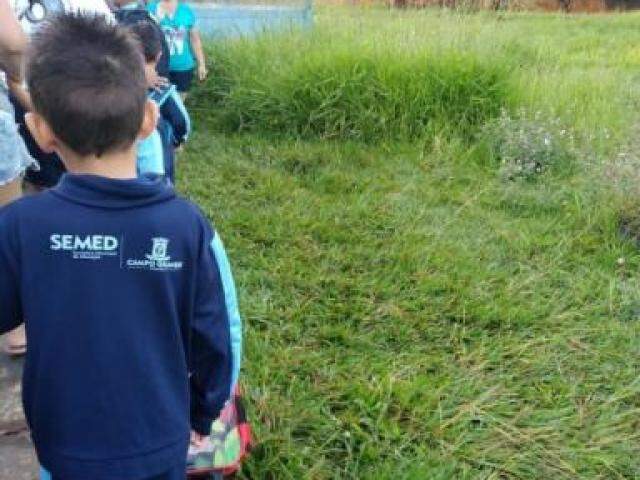 Pais afirmam que há três semanas a grama da escola Irene Szukala estava baixa. (Foto: Direto das Ruas)