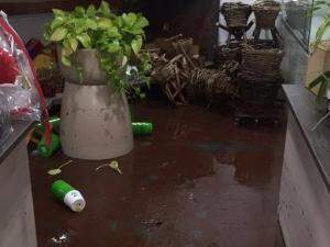Água invadiu uma floricultura na Rua Francisco Bento. (Foto: Direto das Ruas)