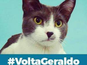 Alisson trocou todas as suas fotos nas redes sociais por essa imagem de Geraldo.