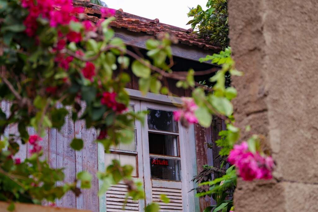 A proprietária tem um encantador pelas plantas e isso torna o passado da casa ainda mais interessante. (Foto: Kísie Ainoã)