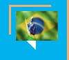 A economia brasileira voltará a crescer?