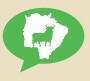 Receita para vencer eleição resiste ao tempo: repetida por ser infalível