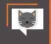 O gato dentro da caixa ou no seu quadrado