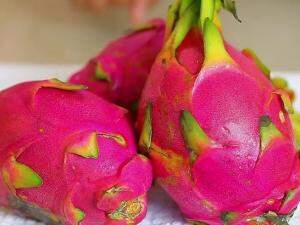 Cores e formato da casca fizeram fruta receber apelido de "fruta dragão" (Foto: Divulgação)