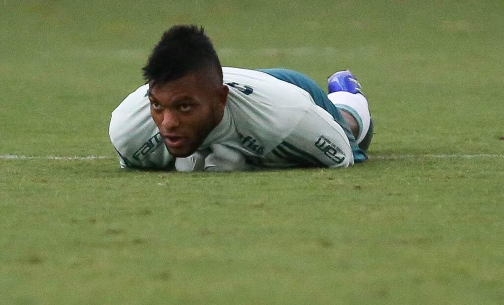 Atacante Borja é esperança de gols do Verdão hoje à noite (Foto: Cesar Greco/Ag Palmeiras/Divulgação)