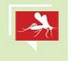As fábricas de mosquitos: a morosidade governamental