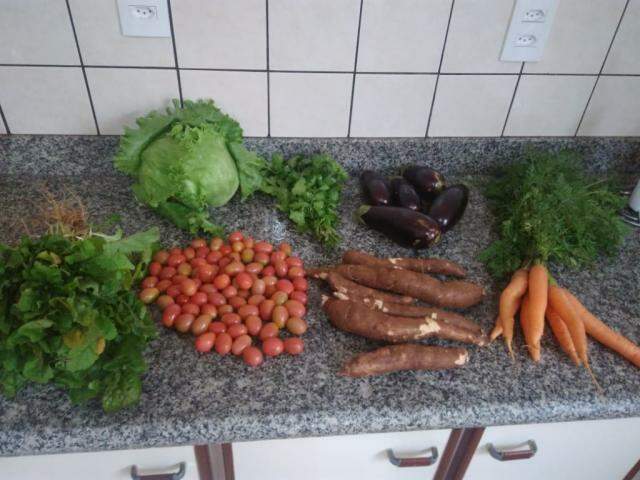 Featured image of post Imagens De Verduras Separadas Gratuitas para uso comercial n o precisam de atribui o sem direitos autorais