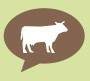 Wagyu tropical - cultuado como a melhor e mais cara carne bovina do mundo