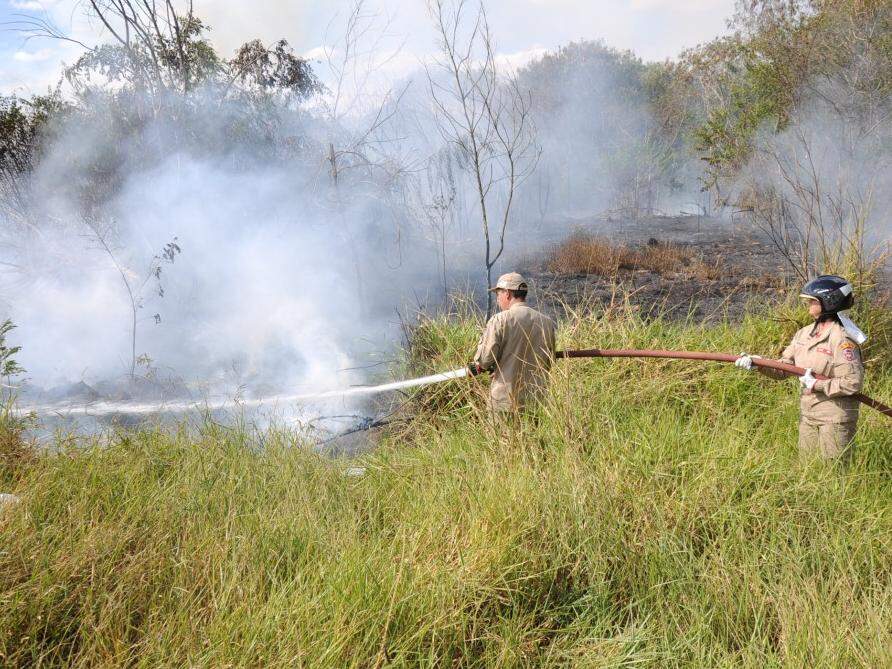 Bombeiros combatente incêndio em mata neste domingo (08), na Avenida Ludio Martins Coelho, em Campo Grande. (Foto: Paulo Francis)