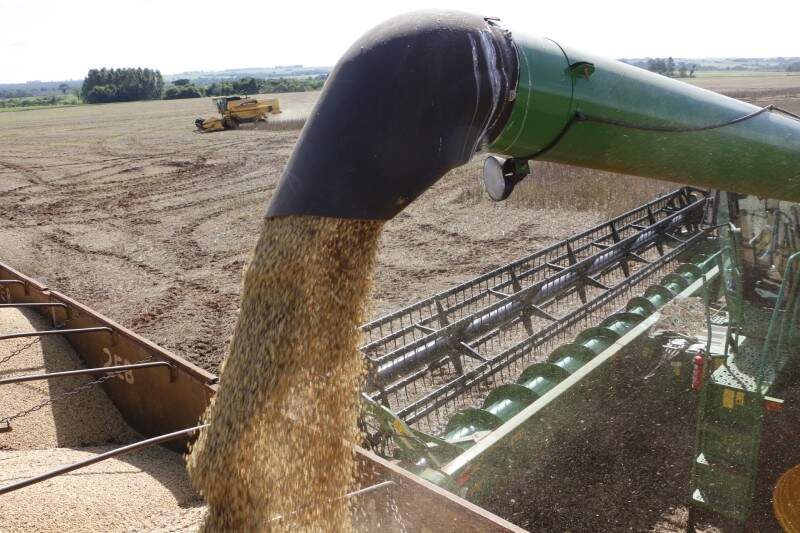 Boas condições climáticas favoreceram colheita de soja em MS que deve ter produção recorde este ano.
(Foto: Famasul)