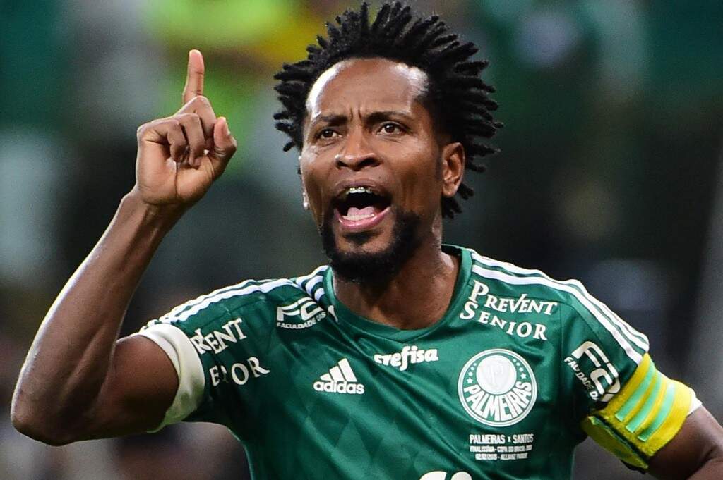 Palmeiras e Botafogo fecham rodada com adeus de Zé Roberto ...