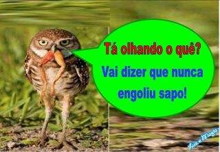 Outubro no charco: quem engolirá sapo?