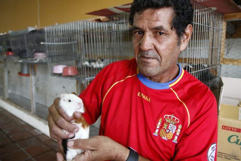 Jurandir trabalha no Mercado desde que abriu e passa o dia cuidando e vendendo os bichos. (Foto: Cleber Gellio)