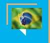 Diferenças entre EUA e Brasil: posse da terra e democracia