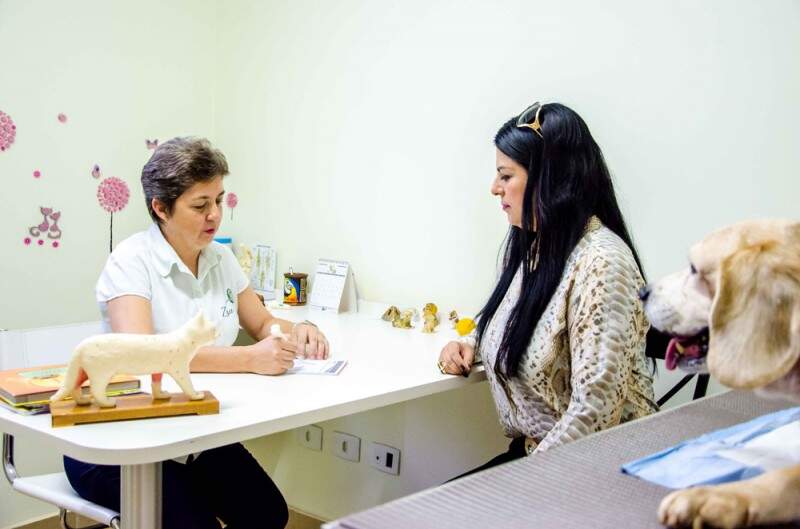 Com carinho e dedicação, a Médica Veterinária Rosana Estrada explica os cuidados necessários que os animais necessitam, para os donos. (Foto: Vanessa Tamires)