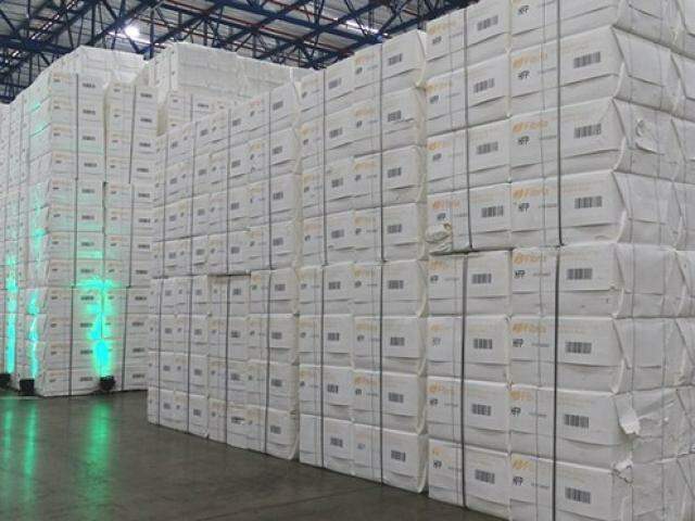 Carregamento de celulose produzido em Três Lagoas; Estado atingiu recorde nas exportações. (Foto: Chico Ribeiro/Subcom/Arquivo)