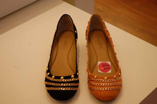 studio z campo grande ms