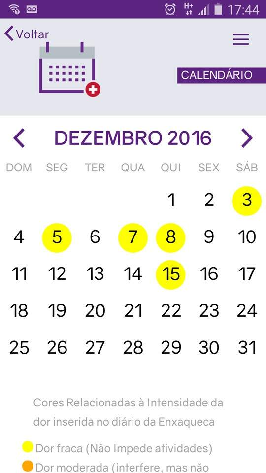 O diário de Ana Elisa no app mostra os dias que ela teve crise e a intensidade (Foto: Ana Elisa Bacon)