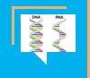 DNA, a última fronteira humana