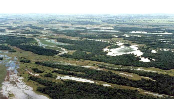 A formação das unidades de conservação imposta à Cesp impediu a extinção de algumas espécies de animais e aves
