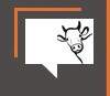 As vacas são culpadas do aquecimento?