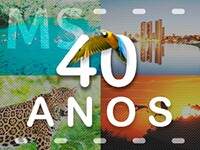 Papel: produto milenar tem em Três Lagoas o centro produtor mundial