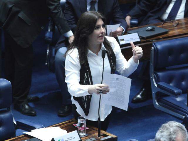 Simone lembrou apontamentos do Banco Mundial de que burocracia é mais cara para o país do que a cobrança de impostos. (Foto: Divulgação/Assessoria)