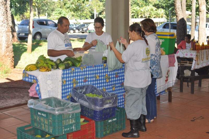Depois de perder tudo o que tinha com a falência da empresa no ramo de construção civil, Eva e o marido, José, entraram para o ramo da agricultura. (Foto: Marcelo Calazans)