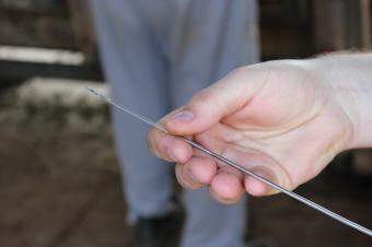 Dose de sêmen para inseminação. (Foto: Rodrigo Alva/Embrapa)