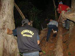 Adolescentes acompanharam a morte da garota bebendo e usando drogas. Corpo foi encontrado pela mãe embaixo de uma árvore(Foto: Dourados News)