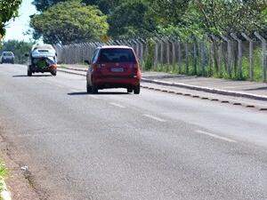 O felino voltou a ser visto em avenida na divisa entre Corumbá e Ladário. (Foto: Capital do Pantanal)