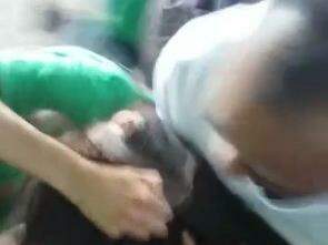 Imagem do momento em que um homem tenta separar a briga (Foto: Reprodução)