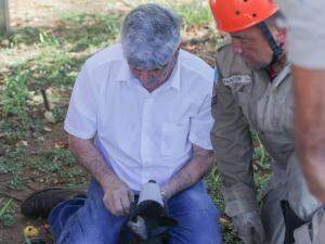 Veterinário e vereador, Francisco Gonçalves, coloca focinheira no cachorro (Foto: Marcos Maluf)