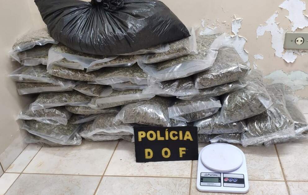 Pacotes de supermaconha que foram encontrados no veículo e na casa da traficante. (Foto: Divulgação/DOF)