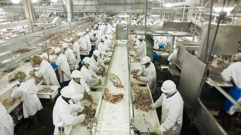 Equipe do grupo JBS em imagem pré-covid que mostra quantidade de funcionários em apenas 1 setor. (Foto: Divulgação)