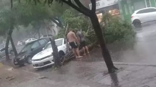 Árvore caiu sobre Camaro no Centro de Corumbá (Foto: Direto das Ruas)