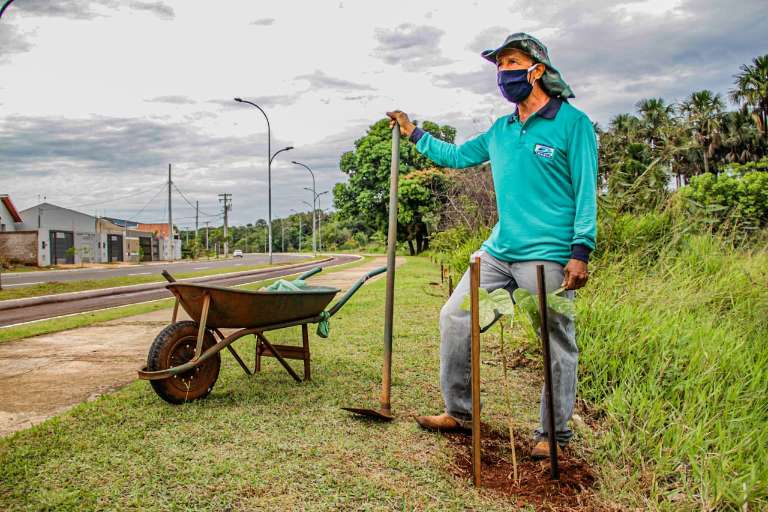 Avenida tem um pouquinho de seu Valmir em mais de 200 árvores 