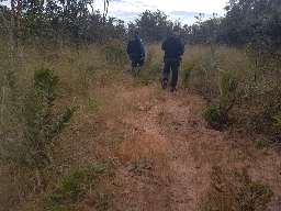 Depois de fugir do cativeiro, professor passou noite escondido em mata