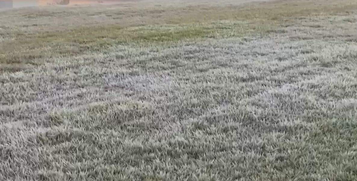 Gramado coberto por geada nesta sexta-feira em Ponta Porã (Foto: Direto das Ruas)