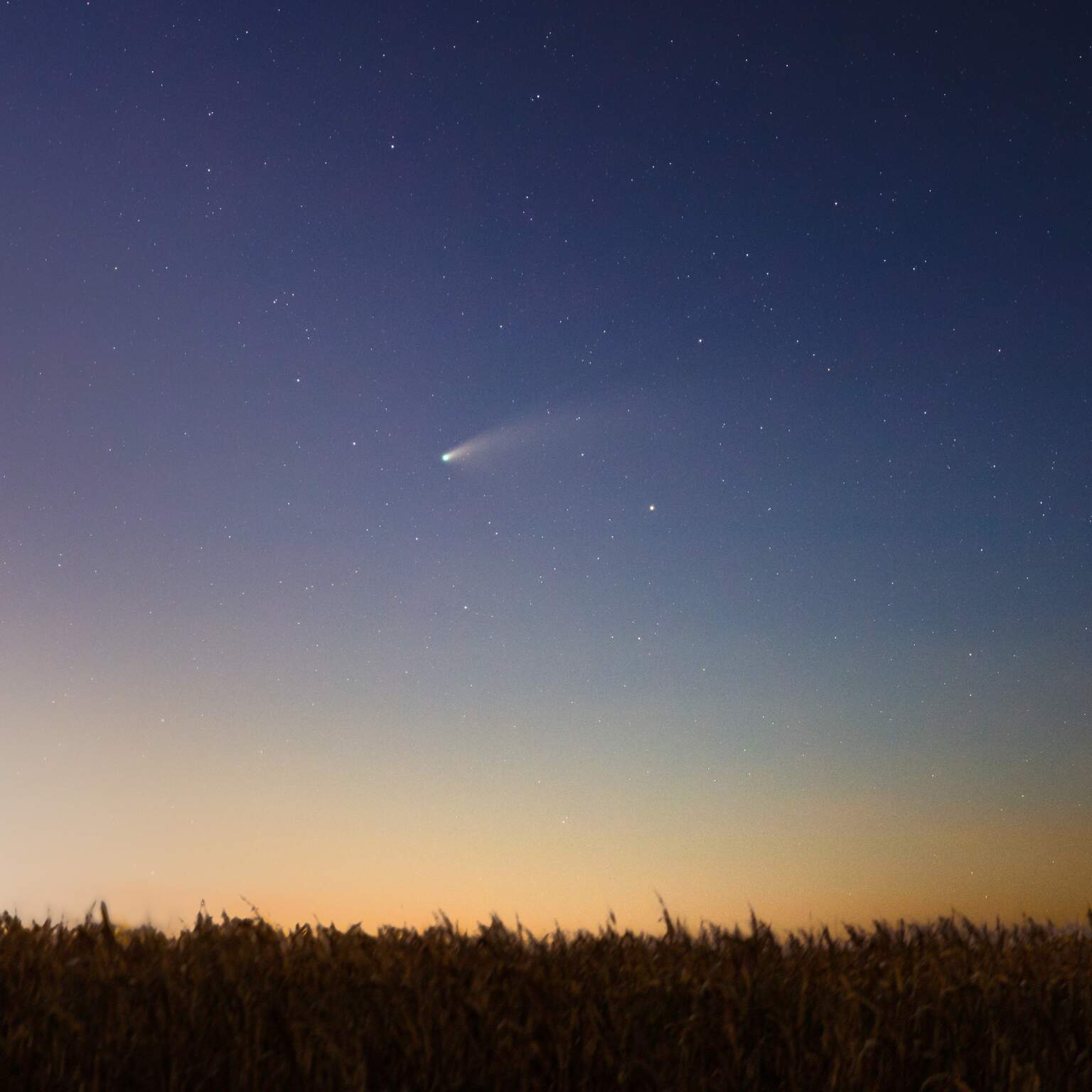 Cometa Neowise passando em céu sul-mato-grossense na última sexta-feira. (Foto: Antônio Arguello)