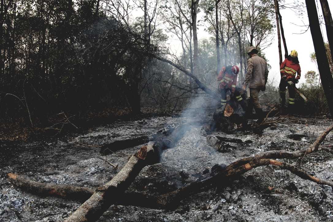Bombeiros combatendo focos em Porto do Manga, em Corumbá, no Pantanal. (Foto: Chico Ribeiro/Governo do Estado)