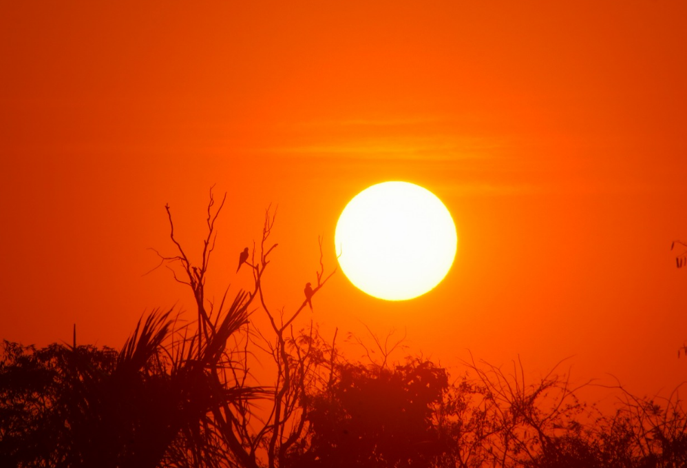 Sunrise with a landscape to attract attention in the Itanhanguá Park neighborhood, in Campo Grande (Photo: Henrique kawaminami) 