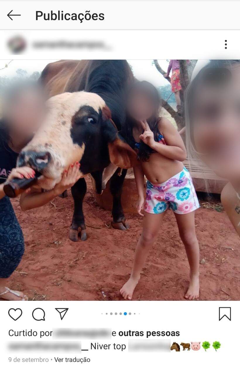 Mulher dá cerveja para vaca enquanto posa para foto tirada por outra, junto com criança. (Foto: Direto das Ruas)