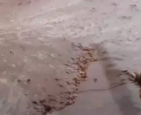 Visão que a leitora tem quando abre o portão de casa (Foto: Direto das Ruas)