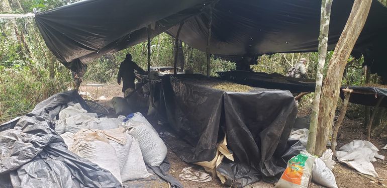 Em nova investida, Paraguai destrói cinco hectares de maconha Acampamento usado por traficantes para processar maconha (Foto: Divulgação)