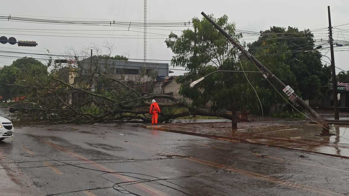 Árvore caiu sobre fios de energia elétrica e derrubou poste no Jardim Clímax (Foto: Sidnei Bronka/Ligado na Notícia)
